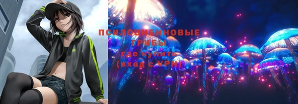 СК Абинск