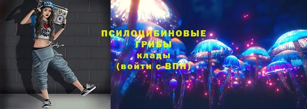 бутират Алексеевка
