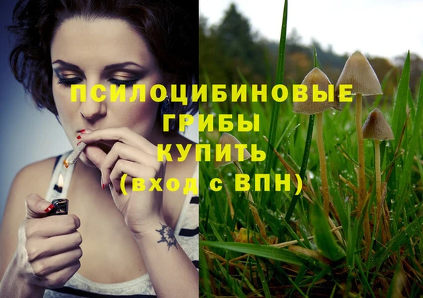 бутират Алексеевка