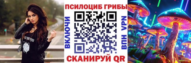 Галлюциногенные грибы Psilocybe  даркнет сайт  Шимановск 